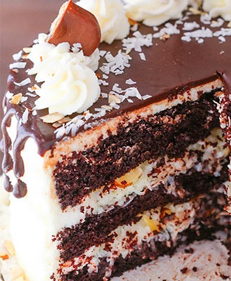 Chocolate-Almond Coconut Layer Cake 